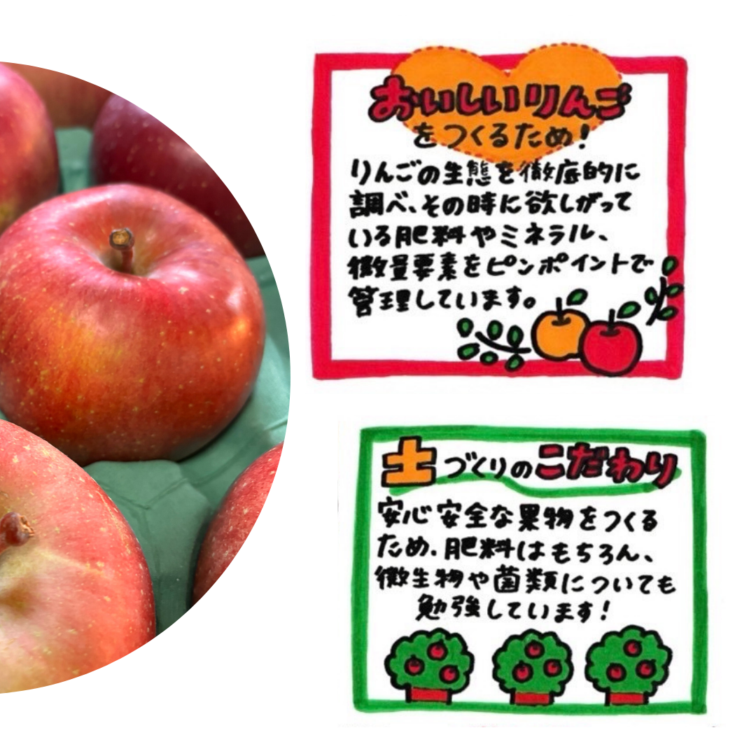 家庭用りんご 葉取らずふじ 6kg 約16〜20玉