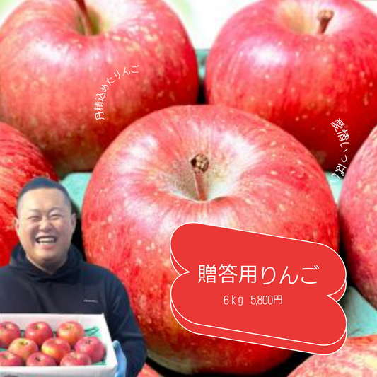贈答用りんご 葉取らずふじ 6kg 約16〜20玉